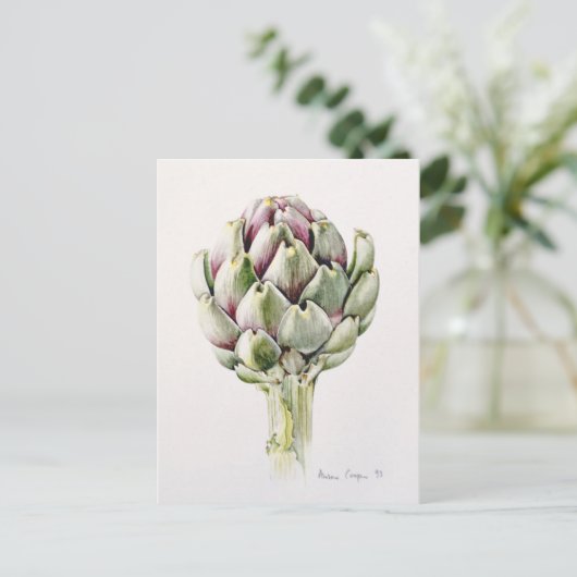 Studie Artichoke 1993 Postkarte (Stehend Vorderseite)