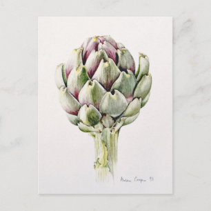 Studie Artichoke 1993 Postkarte