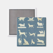 Studie bei Hunden Magnet (Vorderseite/Rückseite)