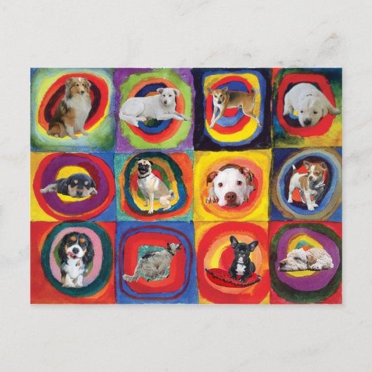 Studie bei Hunden Postkarte (Vorderseite)
