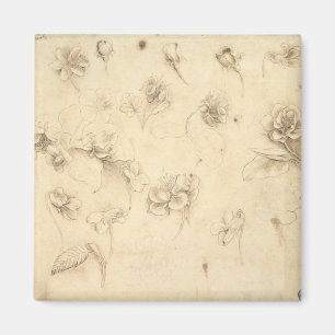 Studie der Blumen der Gras ähnlichen Pflanzen Magnet