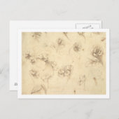 Studie der Blumen der Gras ähnlichen Pflanzen Postkarte (Vorne/Hinten)