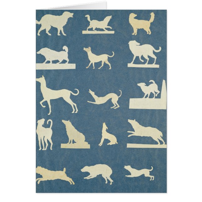 Studie der Hunde (Vorne)