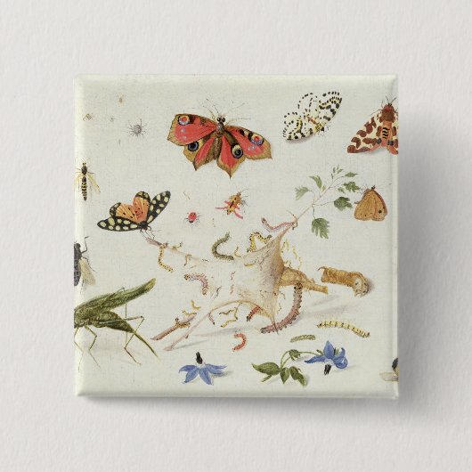 Studie der Insekten und der Blumen Button (Vorderseite)