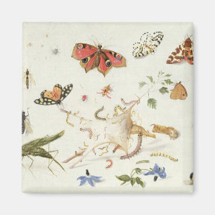 Studie der Insekten und der Blumen Magnet