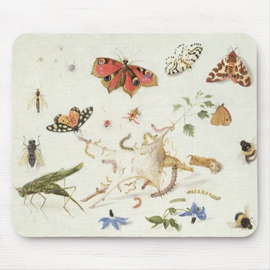 Studie der Insekten und der Blumen Mousepad (Vorne)