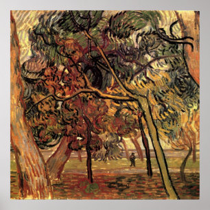 Studie der Kiefern von Vincent van Gogh Poster