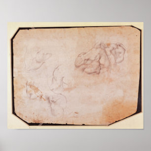 Studie der Muskeln Poster