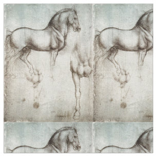 Studie der Pferde Leonardo da Vinci circa 1490 Stoff