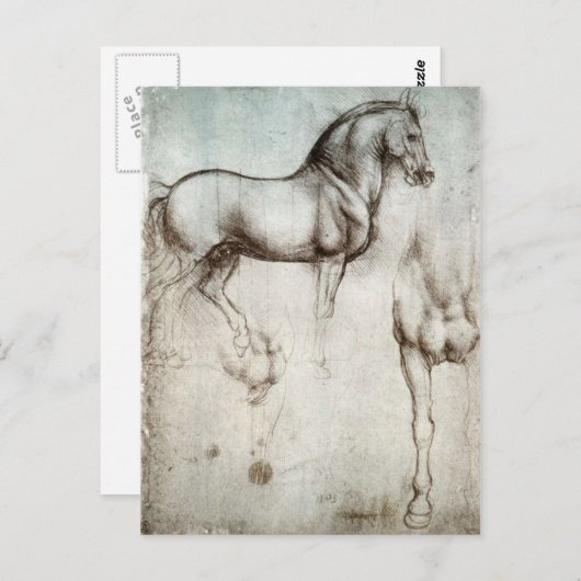 Studie der Pferde - Leonardo da Vinci Postkarte (Vorne/Hinten)