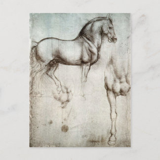 Studie der Pferde - Leonardo da Vinci Postkarte