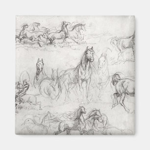 Studie der Pferde Magnet