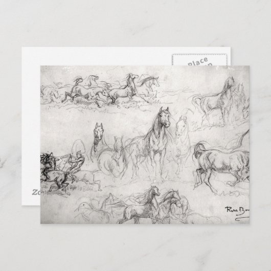 Studie der Pferde Postkarte (Vorne/Hinten)