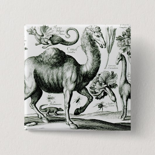 Studie der Tiere und der Blumen, graviert Button (Vorderseite)