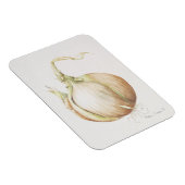 Studie der Union 1993 Magnet (Rechte Seite)