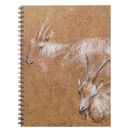 Studie der Ziegen (Zeichnen) Notizblock (Vorderseite)