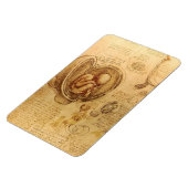 Studie des Babyfötus von Leonardo da Vinci Magnet (Linke Seite)