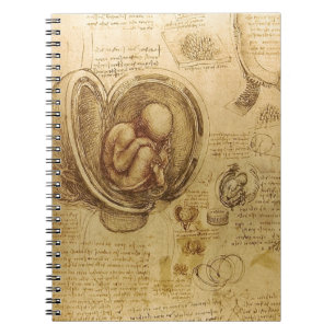 Studie des Babyfötus von Leonardo da Vinci Notizblock