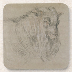 Studie des Kopfes eines RAMs (Schwarzes, heiter u. Getränkeuntersetzer