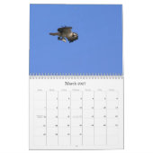 Studie des Seahawk Kalender (Mär 2027)