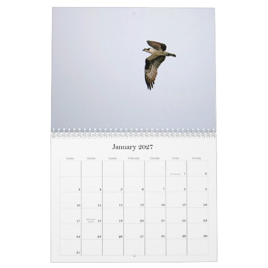 Studie des Seahawk Kalender (Jan 2027)