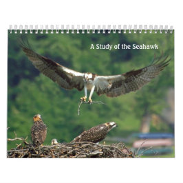 Studie des Seahawk Kalender