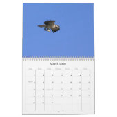 Studie des Seahawk Kalender (Mär 2026)