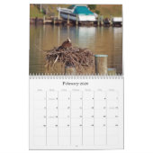 Studie des Seahawk Kalender (Feb 2026)