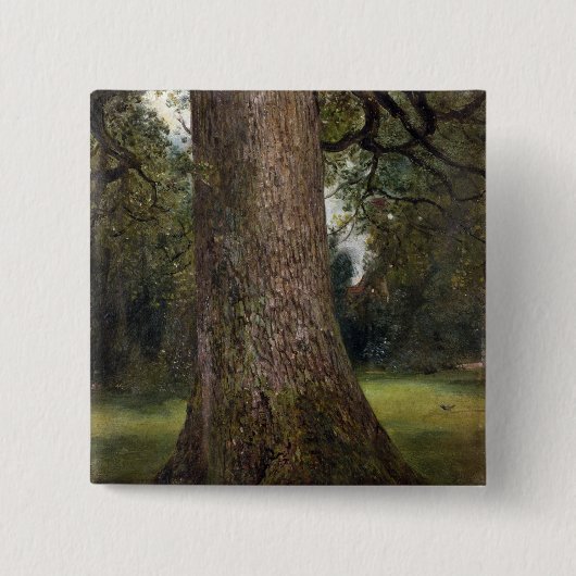 Studie des Stammes eines Ulmen-Baums, c.1821 (Öl Button (Vorderseite)