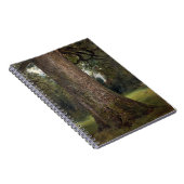 Studie des Stammes eines Ulmen-Baums, c.1821 (Öl Notizblock (Rechte Seite)