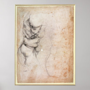 Studie des Torsos und des Hinterteils Poster