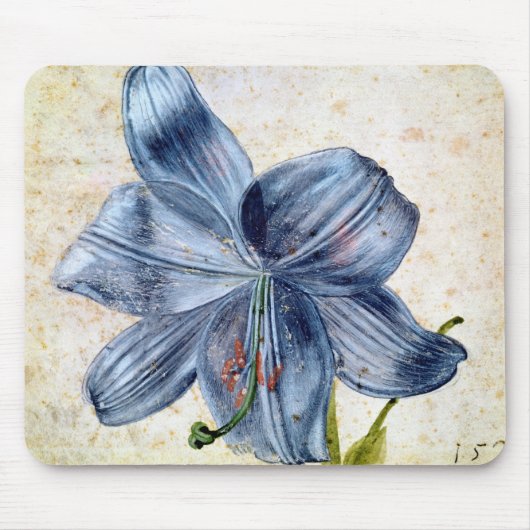 Studie einer Lilie, 1526 Mousepad (Vorne)