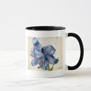 Studie einer Lilie, 1526 Tasse