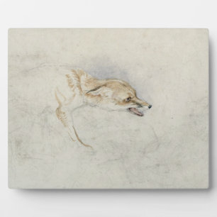 Studie eines Crouching Fox, nach rechts gerichtet Fotoplatte