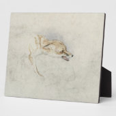 Studie eines Crouching Fox, nach rechts gerichtet Fotoplatte (Seite)