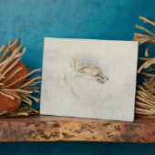 Studie eines Crouching Fox, nach rechts gerichtet Fotoplatte (Seite)
