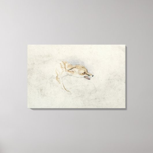 Studie eines Crouching Fox, nach rechts gerichtet Leinwanddruck (Vorderseite)