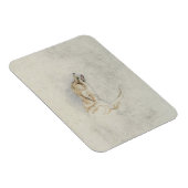 Studie eines Crouching Fox, nach rechts gerichtet Magnet (Rechte Seite)