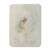 Studie eines Crouching Fox, nach rechts gerichtet Magnet (Vertikal)