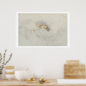 Studie eines Crouching Fox, nach rechts gerichtet Poster (Küche)