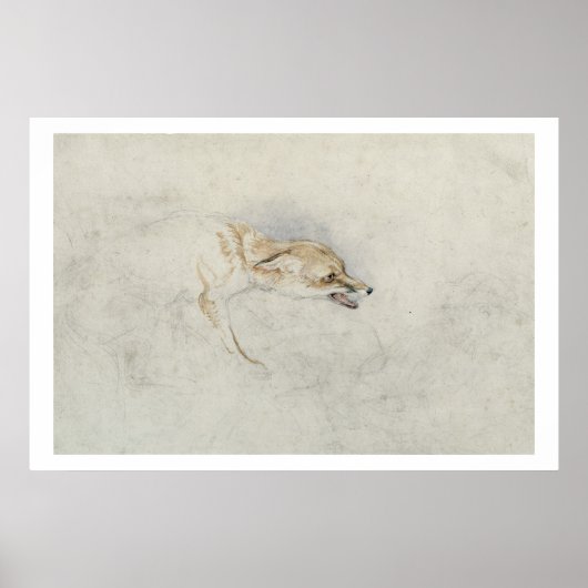 Studie eines Crouching Fox, nach rechts gerichtet Poster (Vorne)