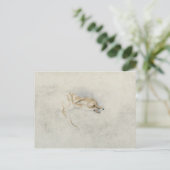 Studie eines Crouching Fox, nach rechts gerichtet Postkarte (Stehend Vorderseite)
