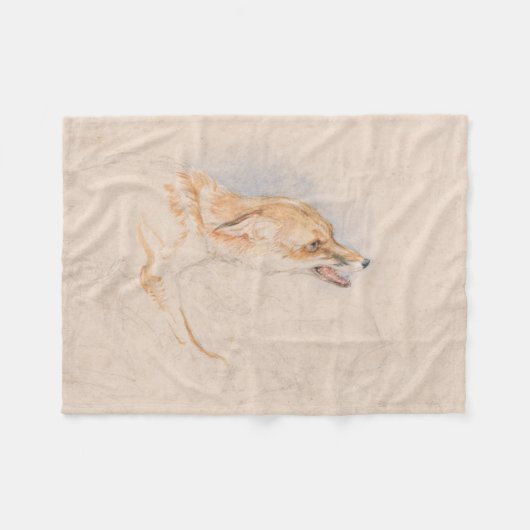 Studie eines Crouching Fox (von John Frederick Lew Fleecedecke (Vorderseite (Horizontal))