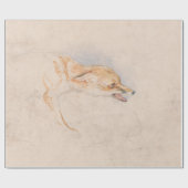 Studie eines Crouching Fox (von John Frederick Lew Geschenkpapier (Flach)