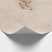 Studie eines Crouching Fox (von John Frederick Lew Geschenkpapier (Ecke)