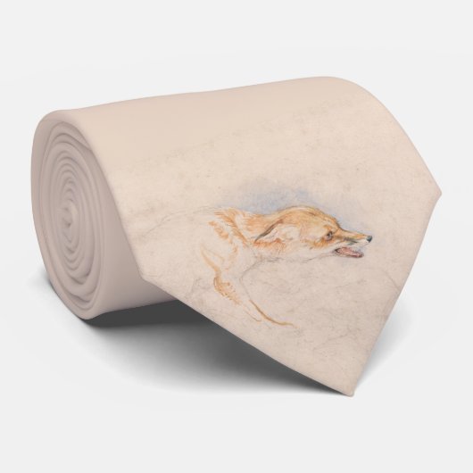 Studie eines Crouching Fox (von John-Frederick-Lew Krawatte (Gerollt)