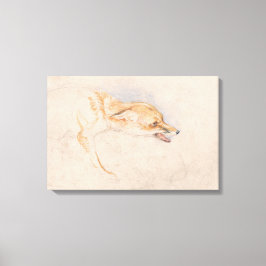 Studie eines Crouching Fox (von John Frederick Lew Leinwanddruck