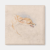 Studie eines Crouching Fox (von John Frederick Lew Magnet (Vorne)