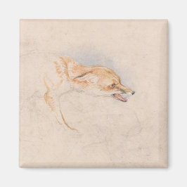 Studie eines Crouching Fox (von John Frederick Lew Magnet