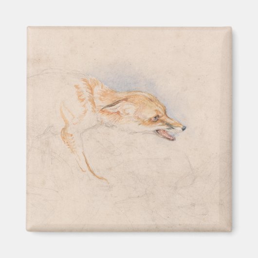 Studie eines Crouching Fox (von John Frederick Lew Magnet (Vorne)